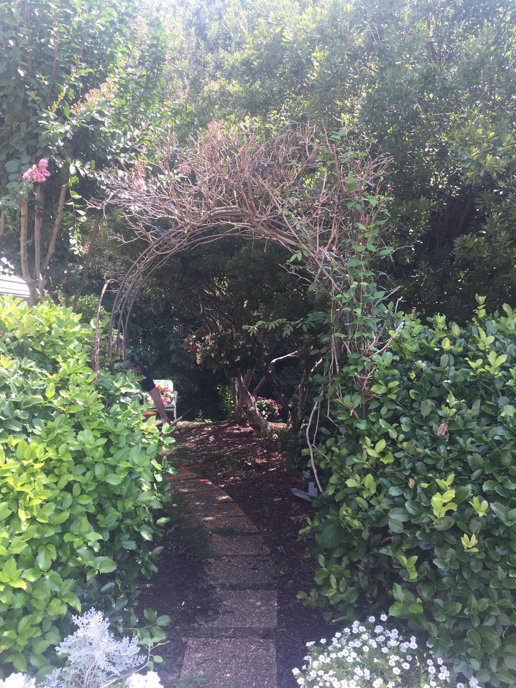 Old Arbor, untrimmed bushes, and old stepping ston