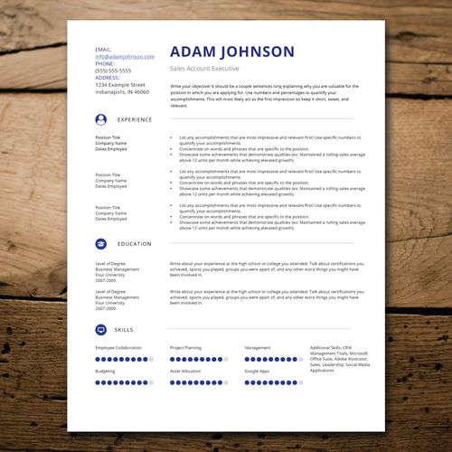 Resume Ninja Professional Resume  Design