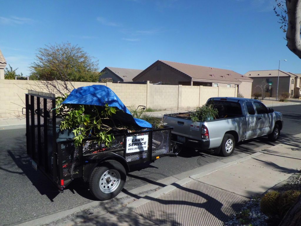 Light haul-aways/junk removal 