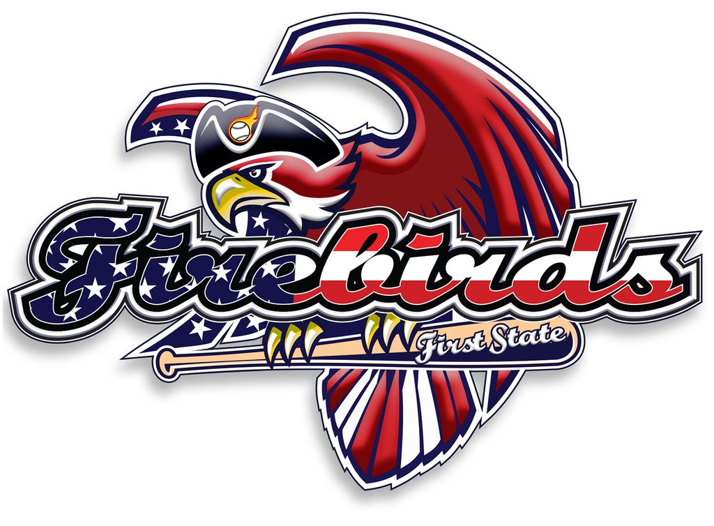 Logo Jersey Design for DE based Baseball Team