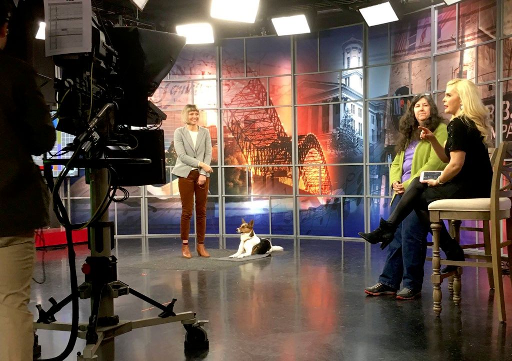 Invited on the news to show off the excellent mann