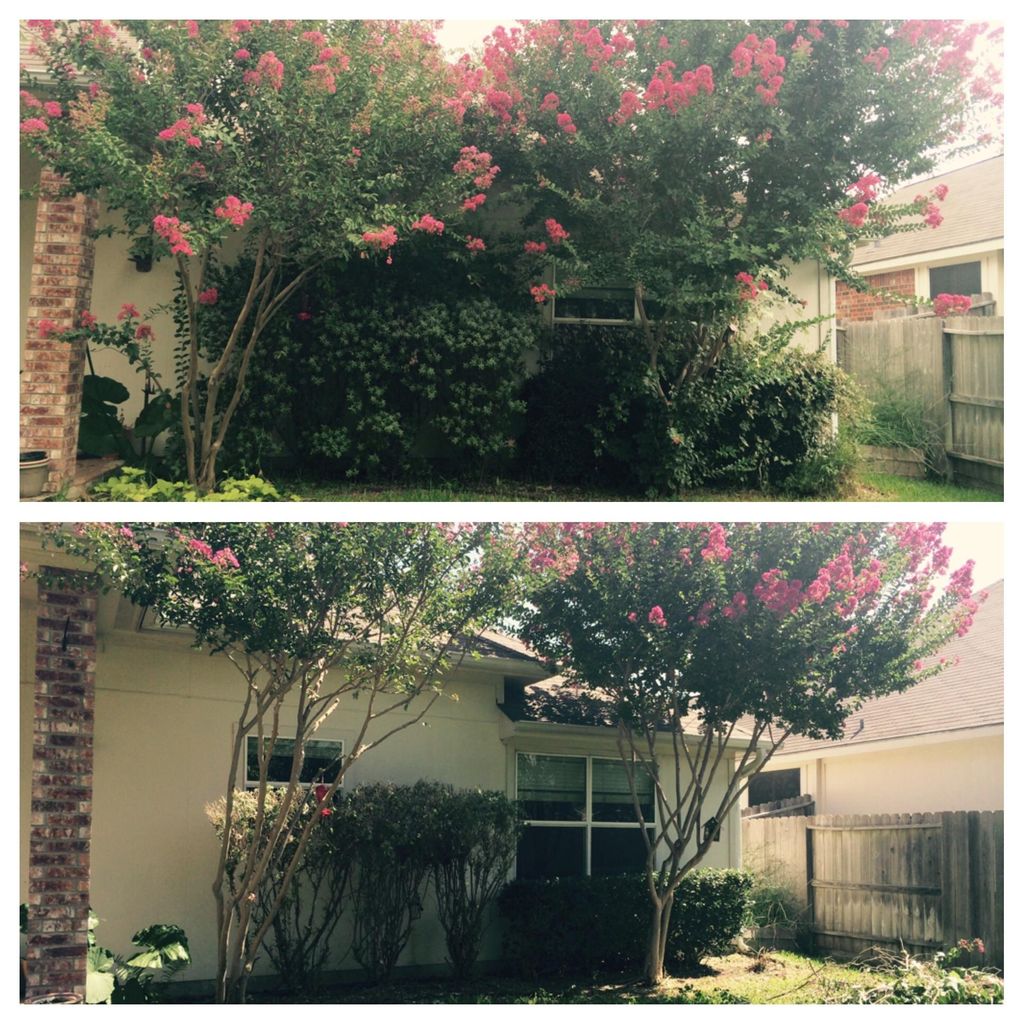 Look at what just a trim can do!