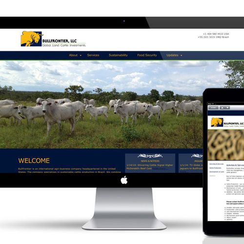 Bullfrontier.com responsive website, brand, logo a