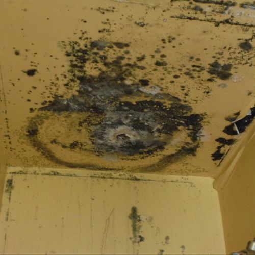 Mold on bathroom ceiling from leaking toilet in 2n