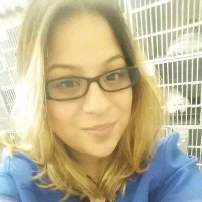 The 10 Best Mobile Dog Groomers in Houston, TX (with Free Estimates)