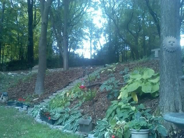 Hillside Shade Garden Landscape