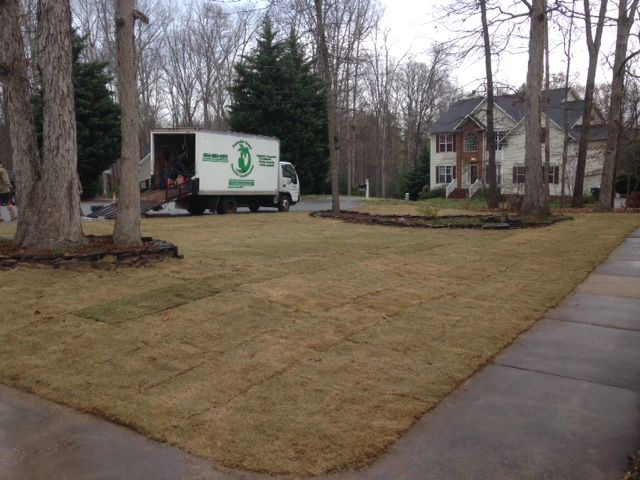 Sod Installation