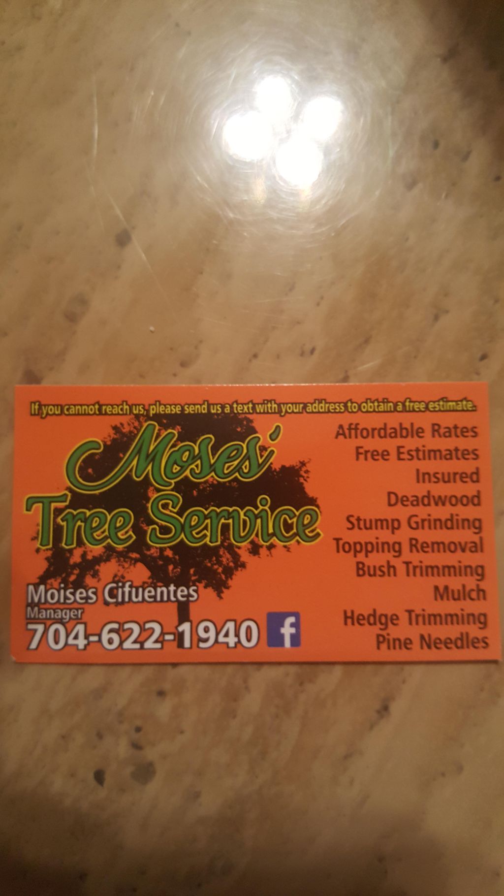 moses tree services