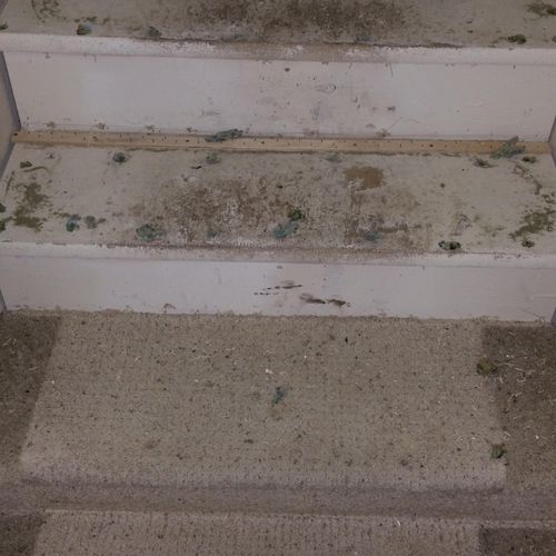 stairs that had carpet ...