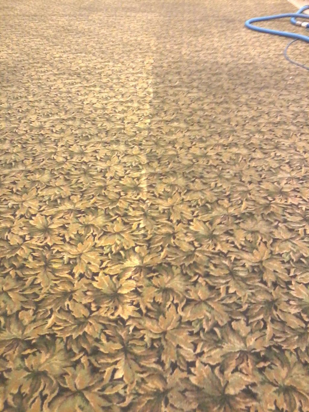 Servdry, Inc. Water Damage and Carpet Cleanig