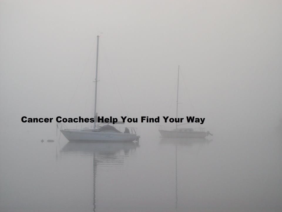 Emphasis on Cancer Prevention and Improved Outcome