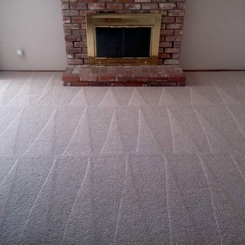 We are the Carpet Cleaning Pros