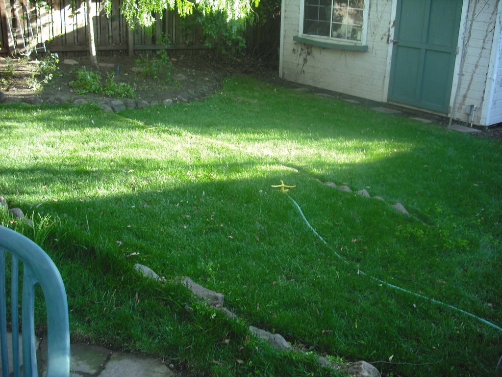 Lawn Care