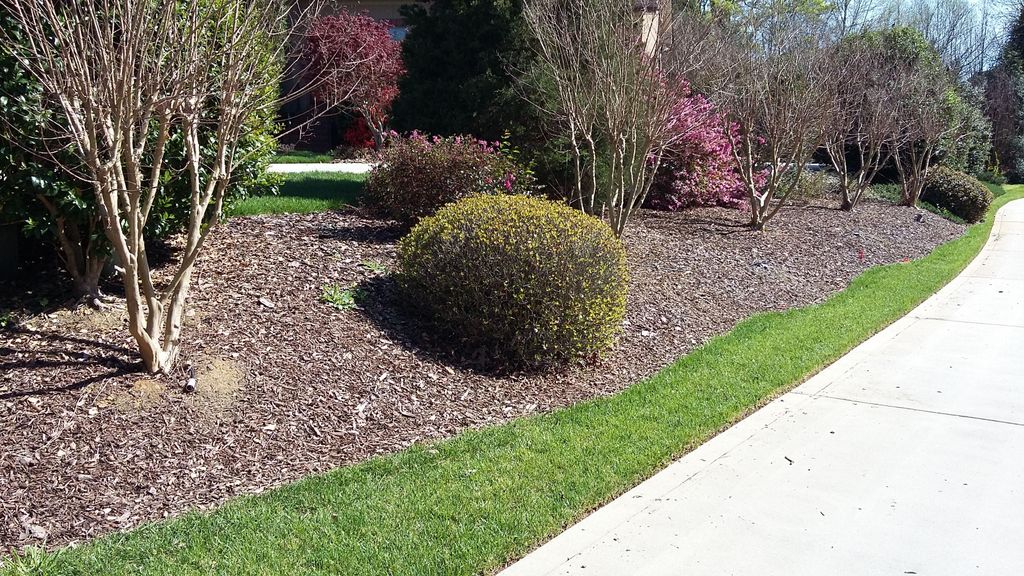 this is before I lay down the mulch 