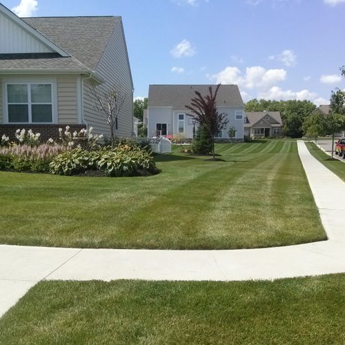 Residential Full Service Lawn care