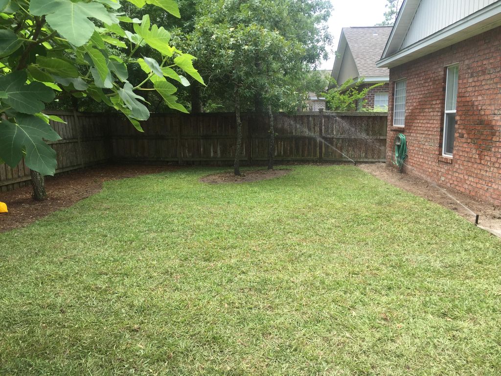 After. Sod and Irrigation install in Wilmington