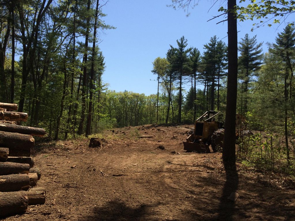 Land clearing for new construction