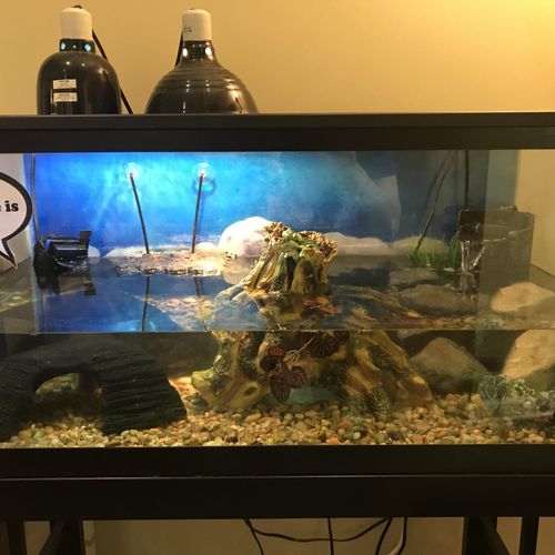 Turtle Tank