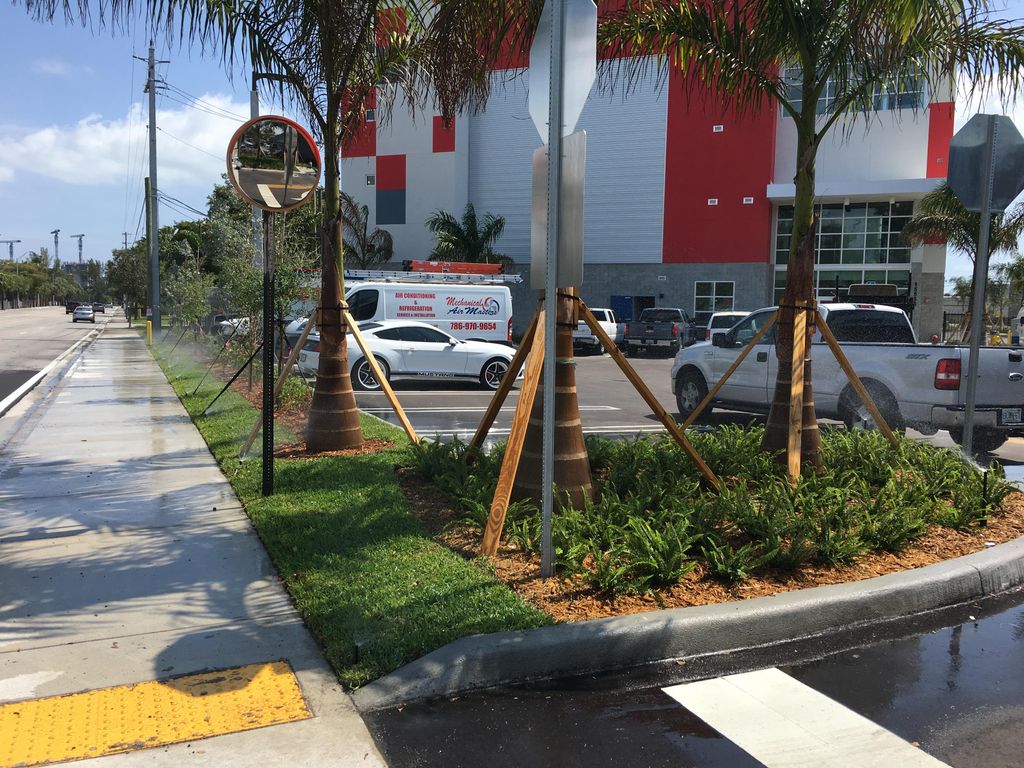 Commercial New Landscape