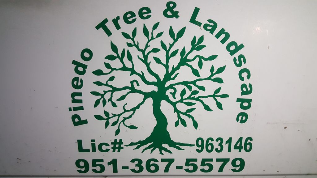 Pinedo Tree Service