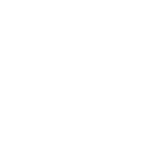 Design for my company, Forza Studios.