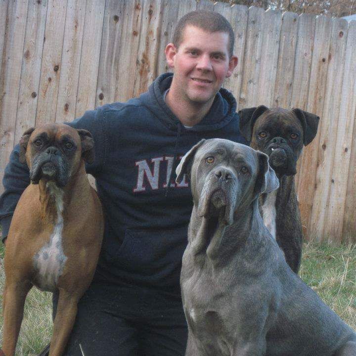 Dogs Gone Mild Dog Training Service