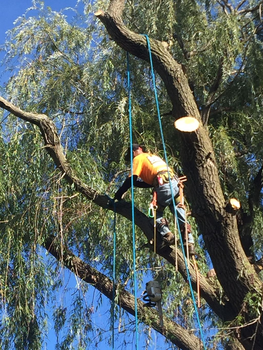 Our lead climber Jason
