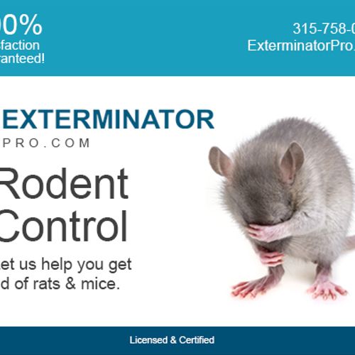 Rodent Control in New York