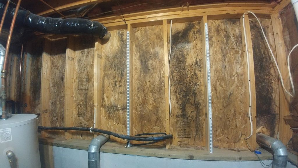 Mold in basement before