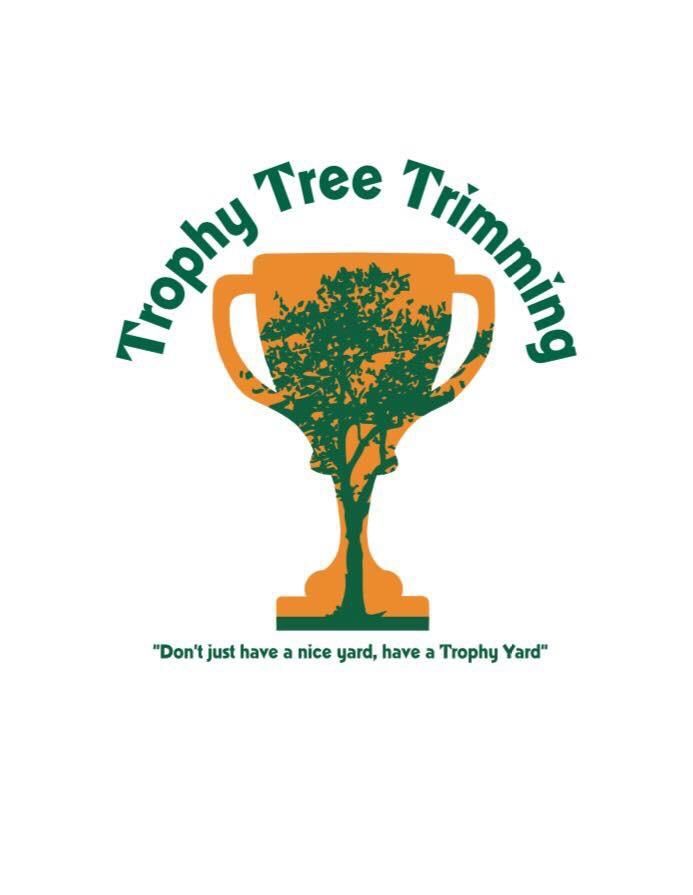 Trophy Tree Trimming