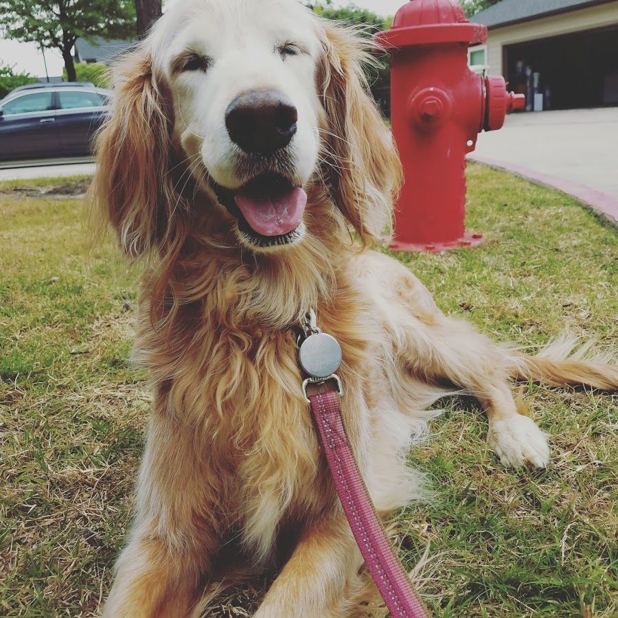 Phoebe!