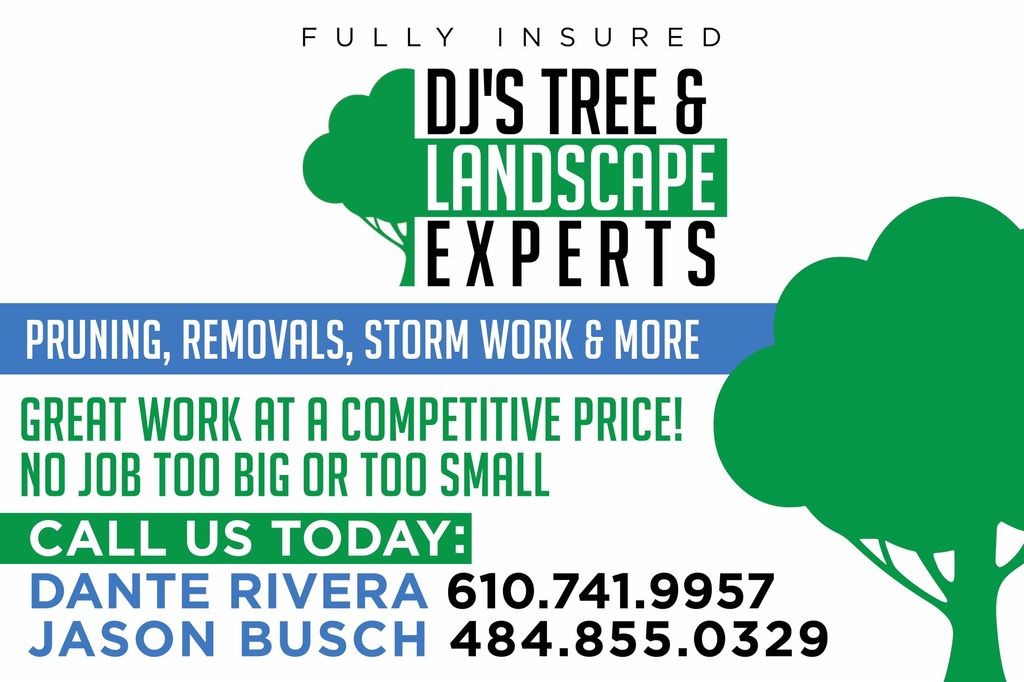 DJ's Tree And Landscape Experts