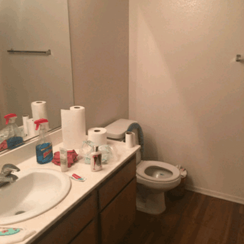 bathroom: before