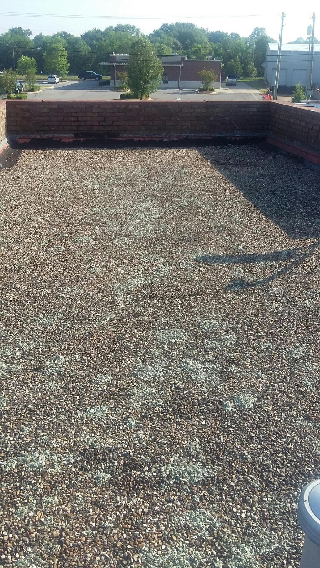 Old Tar and gravel Roof with Bubbles, Leaking.