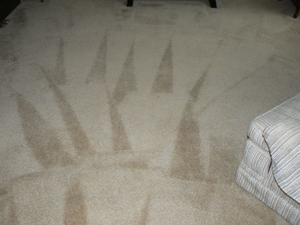 Flash Extractor urine removal method. The urine ha