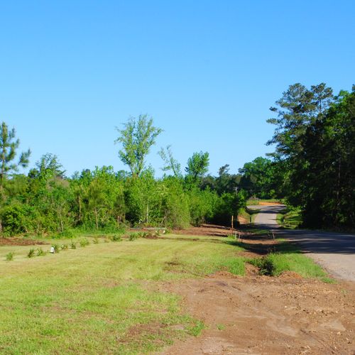 Land cleared and trees planted in Mississippi