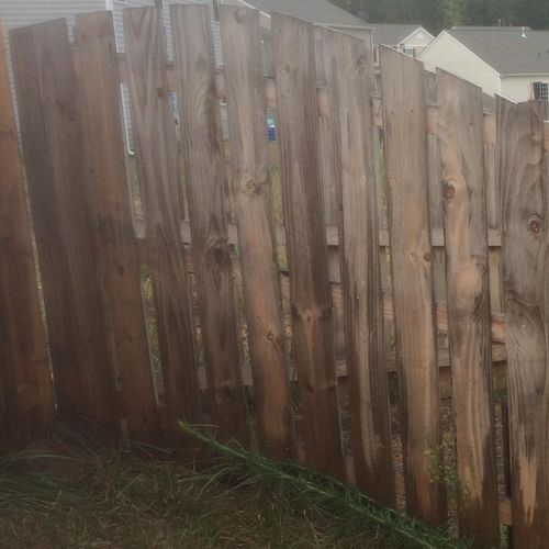 Fence Cleaning- Before