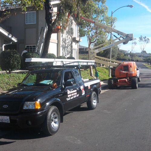 Termite Damaged Wood Replacement Mission Viejo, Ca