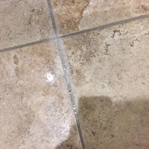 Tile before(darker) and after (lighter) cleaning