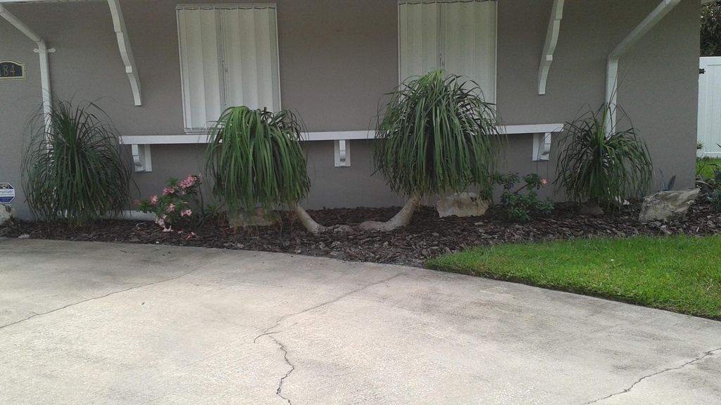 Simple, yet elegant, and very low maintenance.