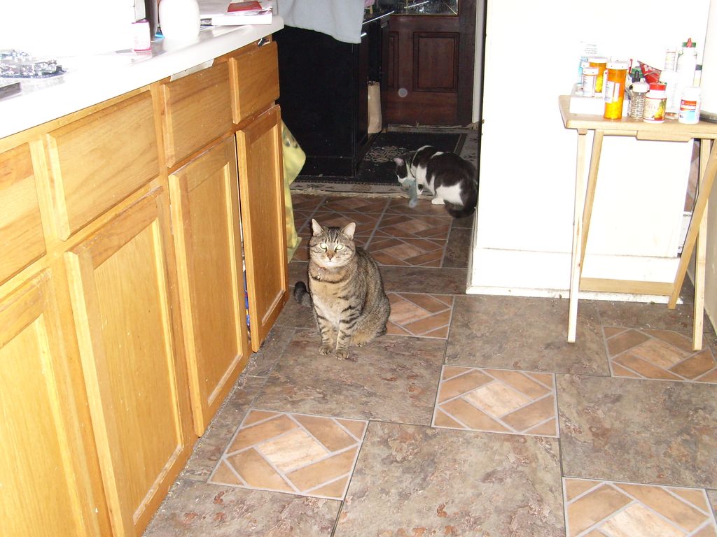 Laid Kitchen Floor