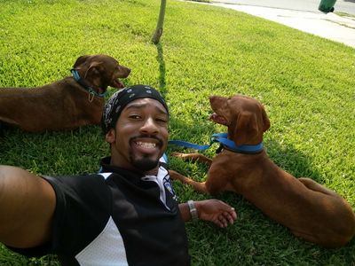 dog training georgetown