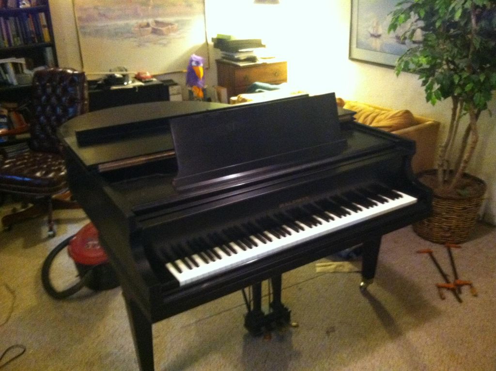 Baldwin model 'M'
new keytops