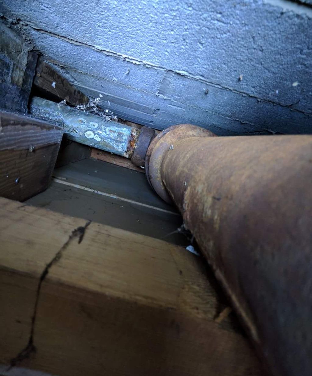 I actually had to use selfie mode on my camera to 