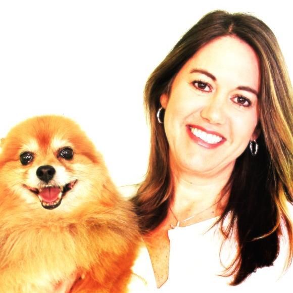 We Care Pet Care