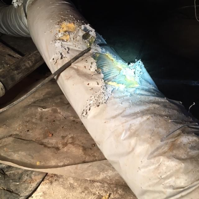 A customer complained about bad odor and possible 