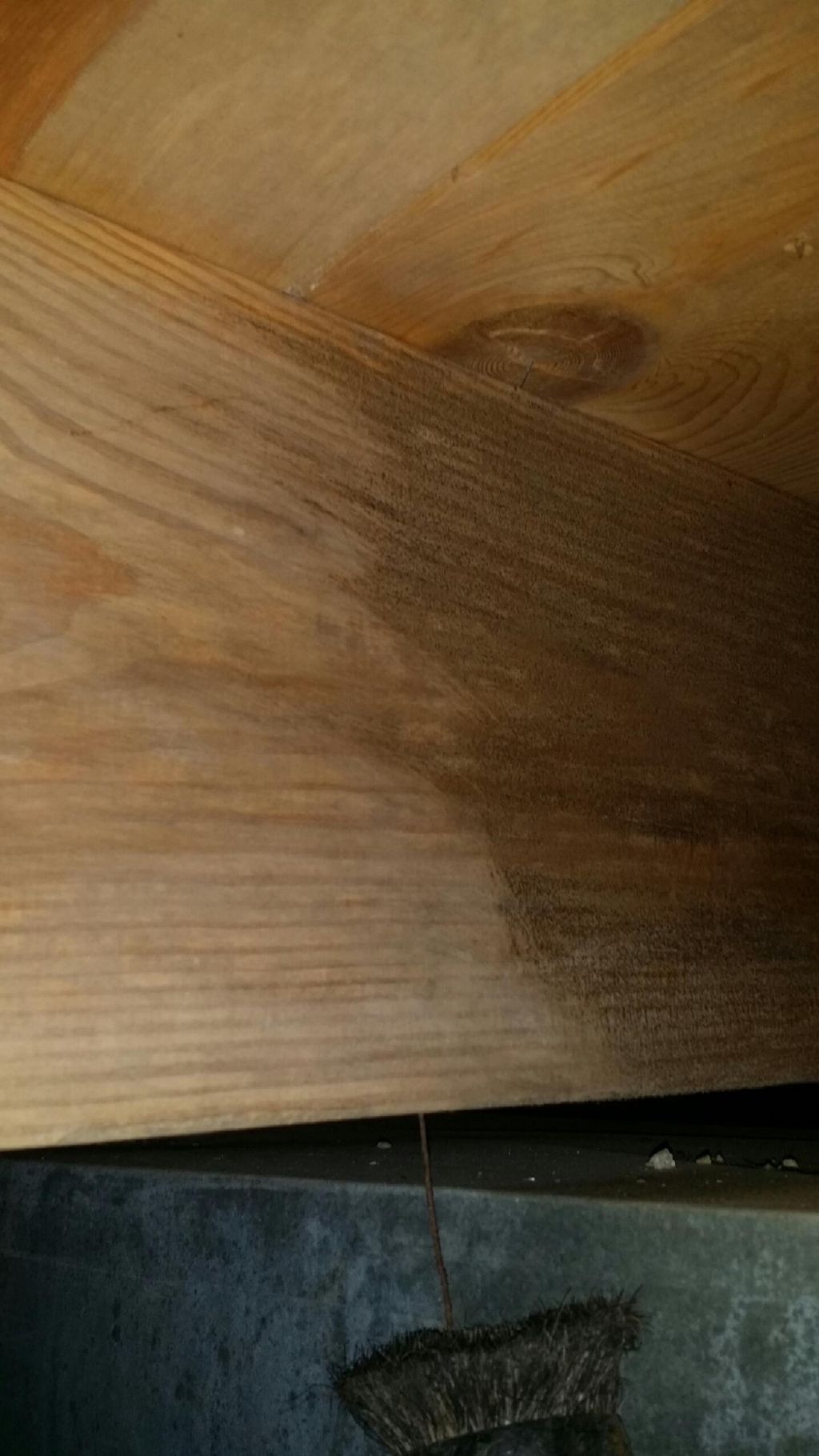Floor joist midway through mold remediation.