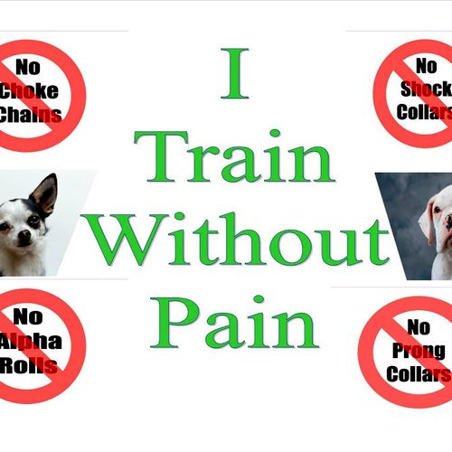 I train without pain!