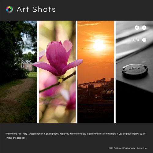 Customer site - Art Shots