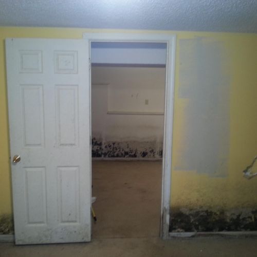 Drywall and Insulation removal on a moldy basement